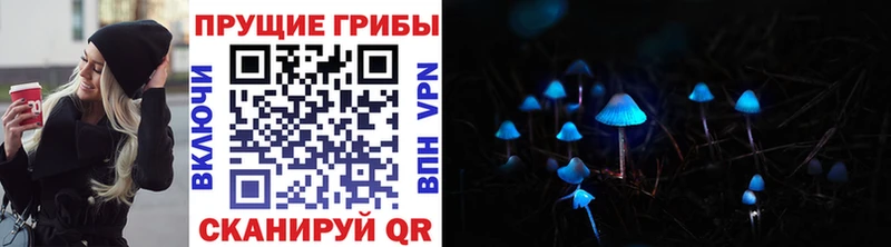 Псилоцибиновые грибы GOLDEN TEACHER  Павловский Посад 