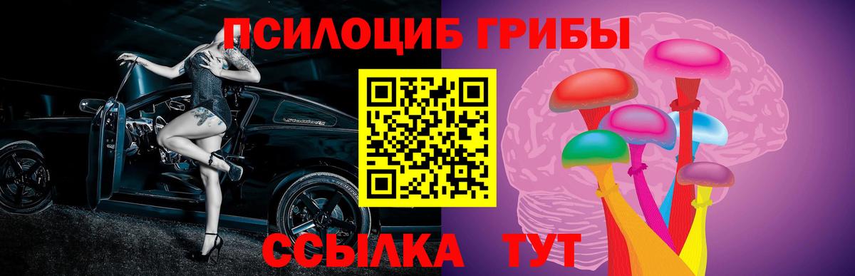 Псилоцибиновые грибы Cubensis Павловский Посад